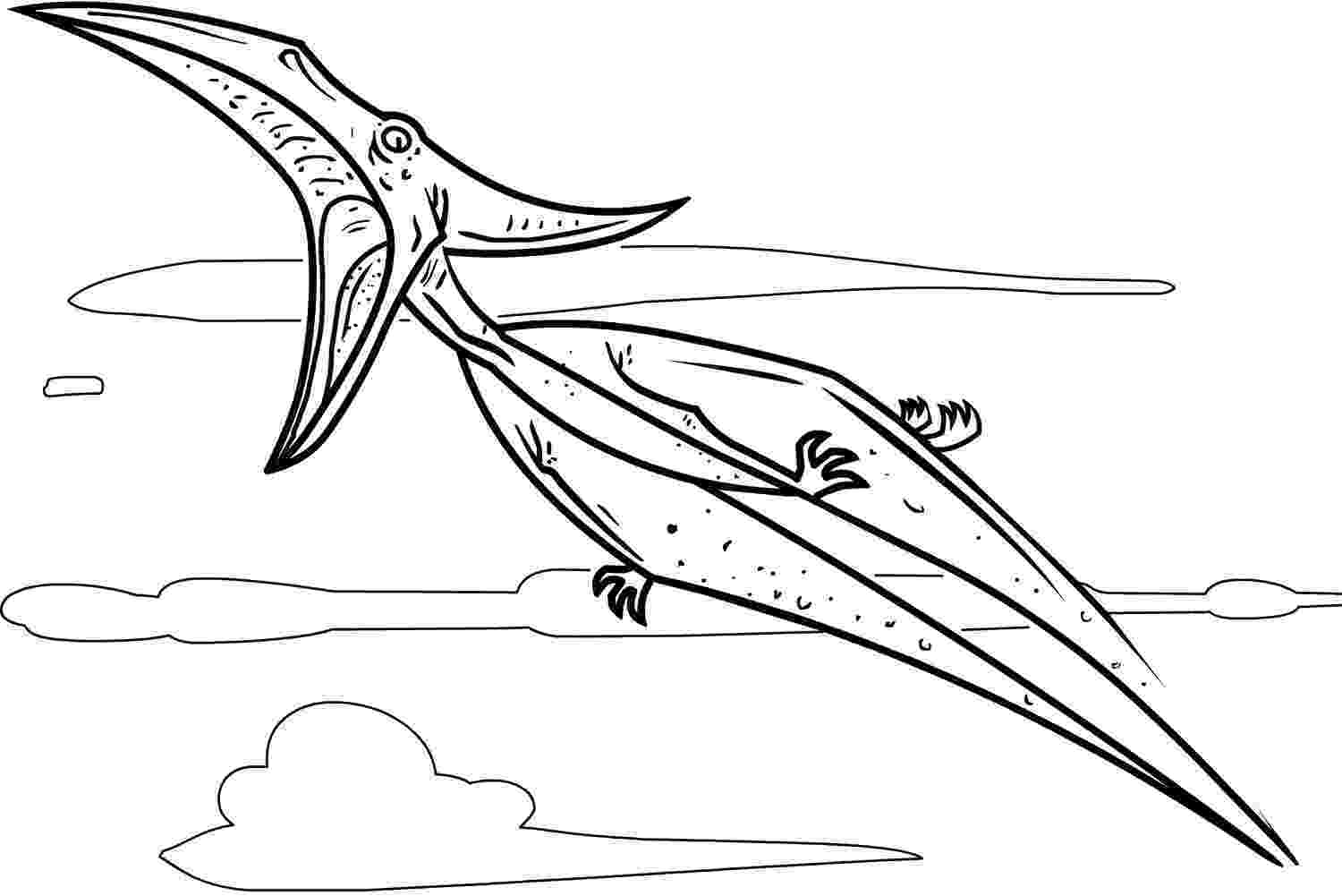 pterodactyl coloring page coloring page pteranodon and a pterodactyl coloring page pterodactyl 