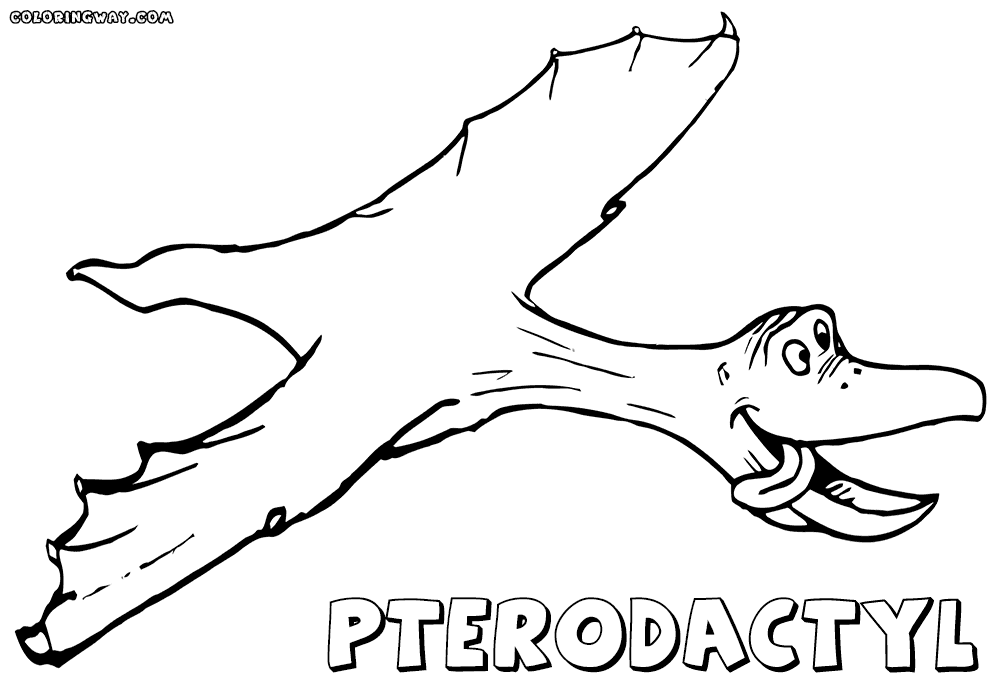 pterodactyl coloring page coloring pterodactyl pterodactyl coloring page 