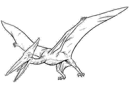 pterodactyl coloring page pterodactyl coloring pages coloring pages to download coloring pterodactyl page 