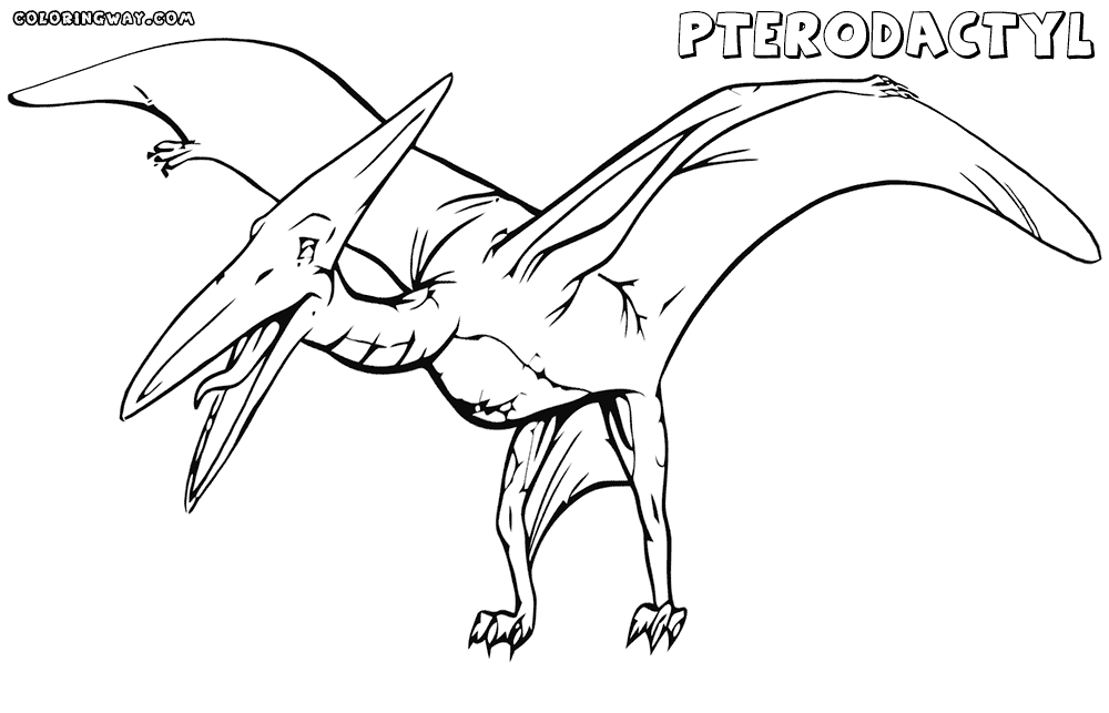 pterodactyl coloring page pterodactyl coloring pages dinosaurs pictures and facts page coloring pterodactyl 