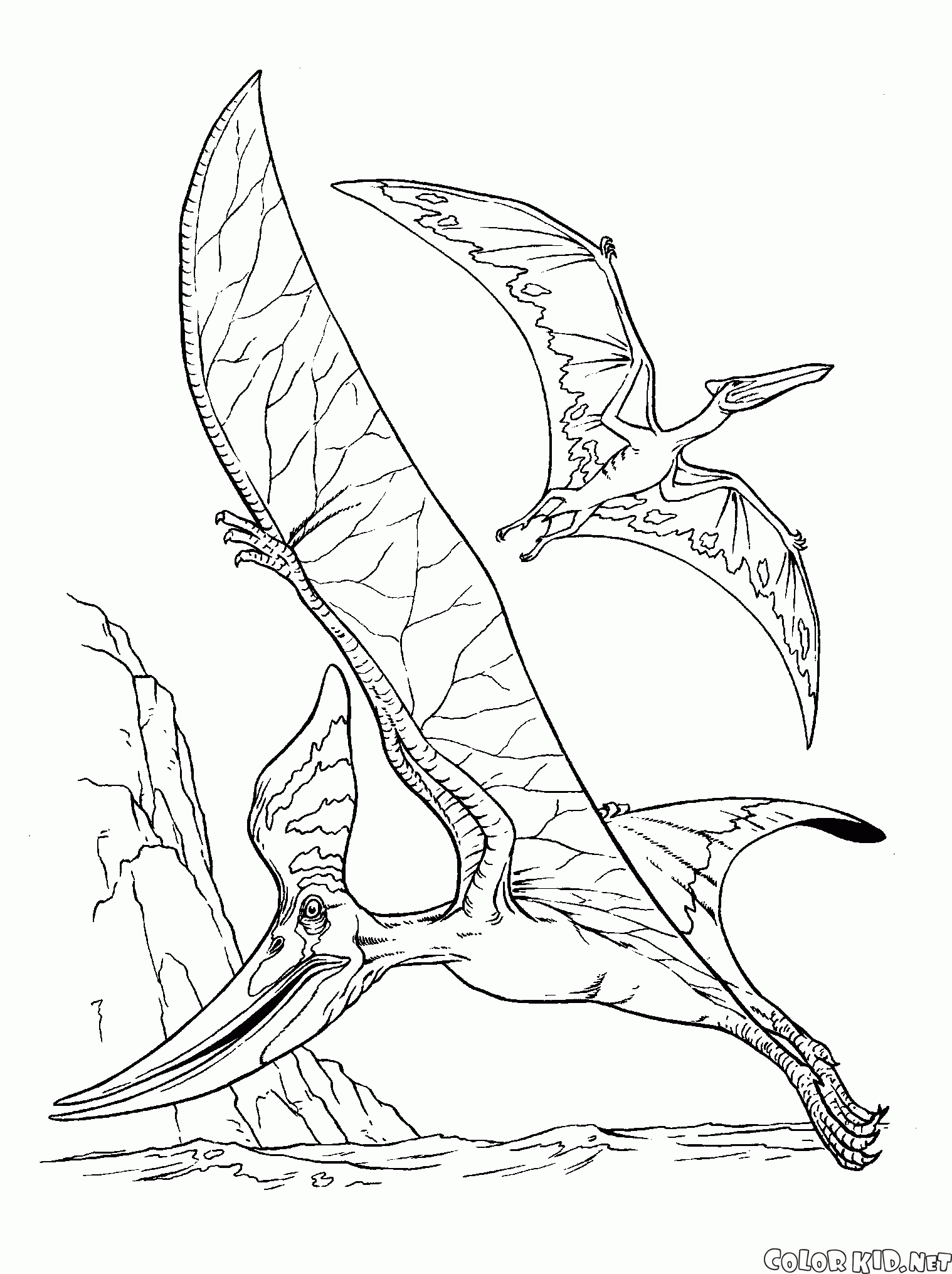 pterodactyl coloring page pterodactyl colouring pages part 5 coloring page pterodactyl 
