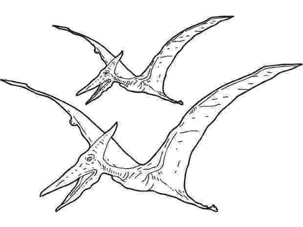 pterodactyl coloring page pterosaur coloring pages hellokidscom page coloring pterodactyl 