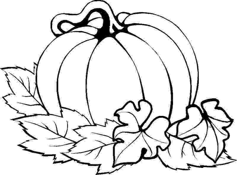 pumpkin pictures to print free printable pumpkin coloring pages for kids pictures to pumpkin print 