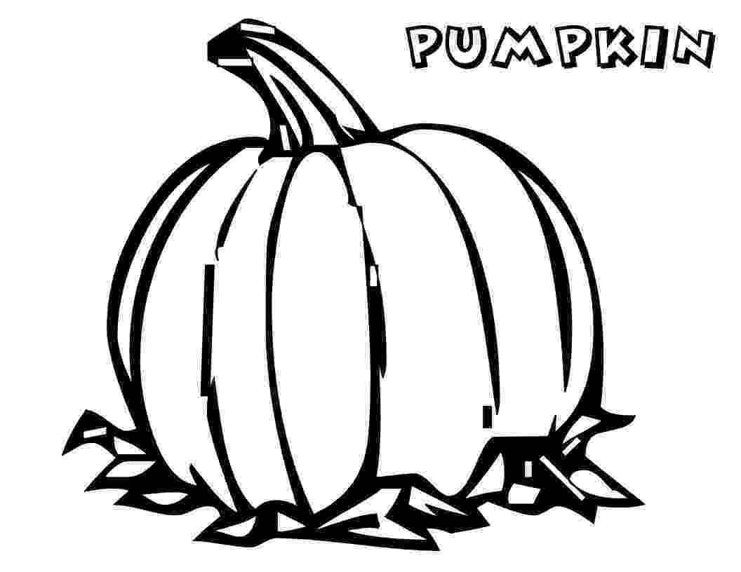 pumpkin pictures to print free printable pumpkin coloring pages for kids print pictures pumpkin to 