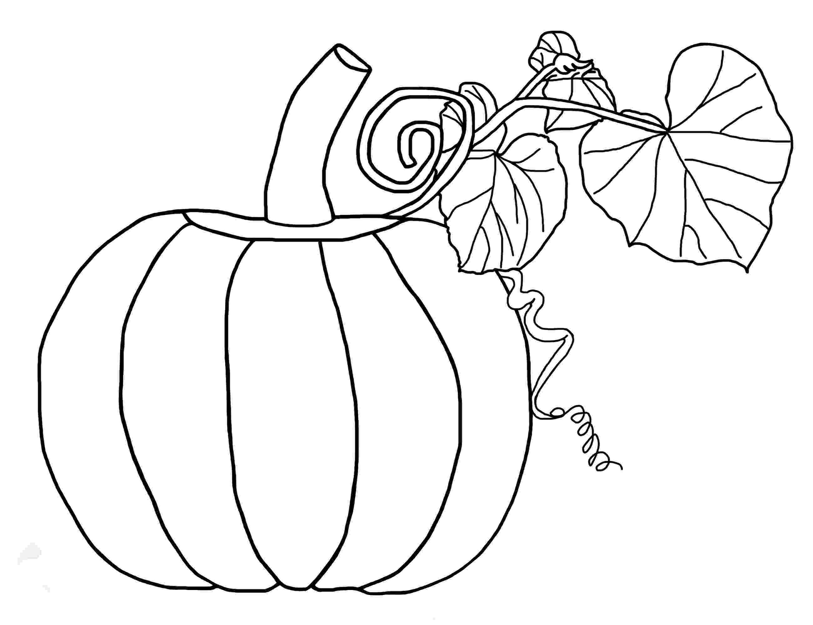 pumpkin pictures to print free printable pumpkin coloring pages for kids pumpkin print pictures to 