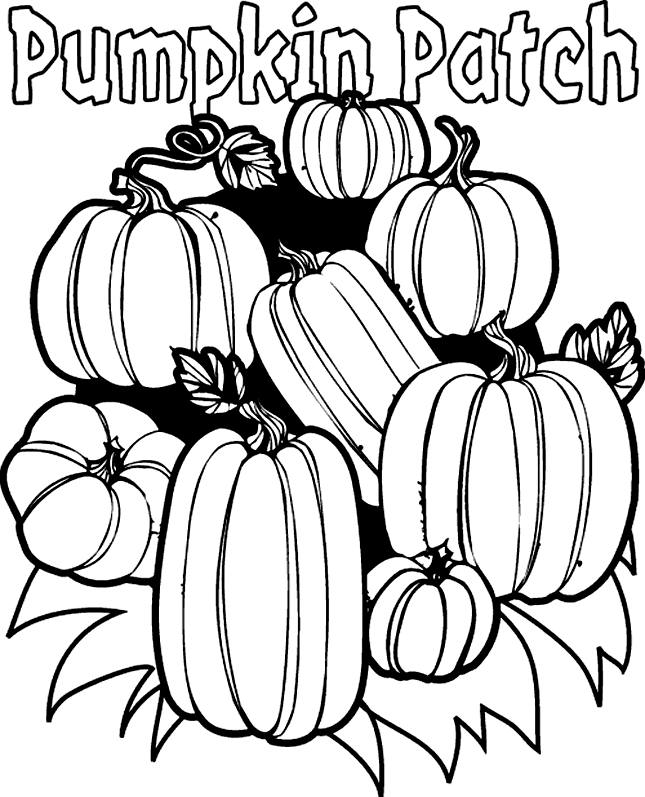 pumpkins coloring page free printable pumpkin coloring pages for kids coloring pumpkins page 