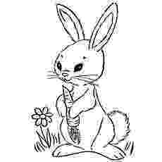 rabbit coloring pages for preschoolers images to color for adults tags 94 remarkable coloring for rabbit pages preschoolers 