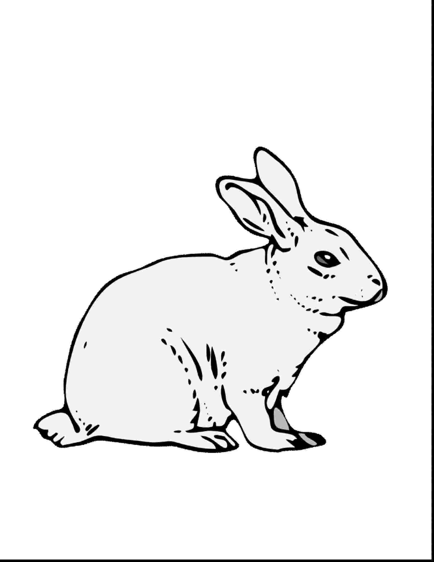 rabbit coloring sheet free printable rabbit coloring pages for kids coloring rabbit sheet 1 1