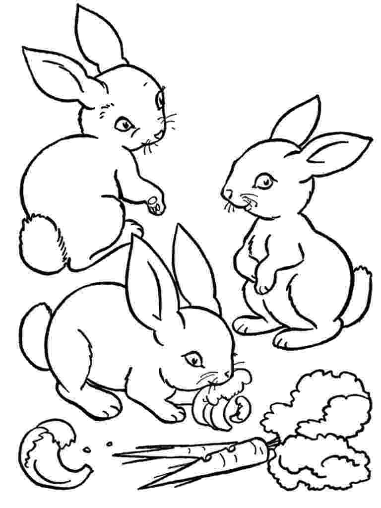 rabbit coloring sheet free rabbit coloring pages rabbit sheet coloring 