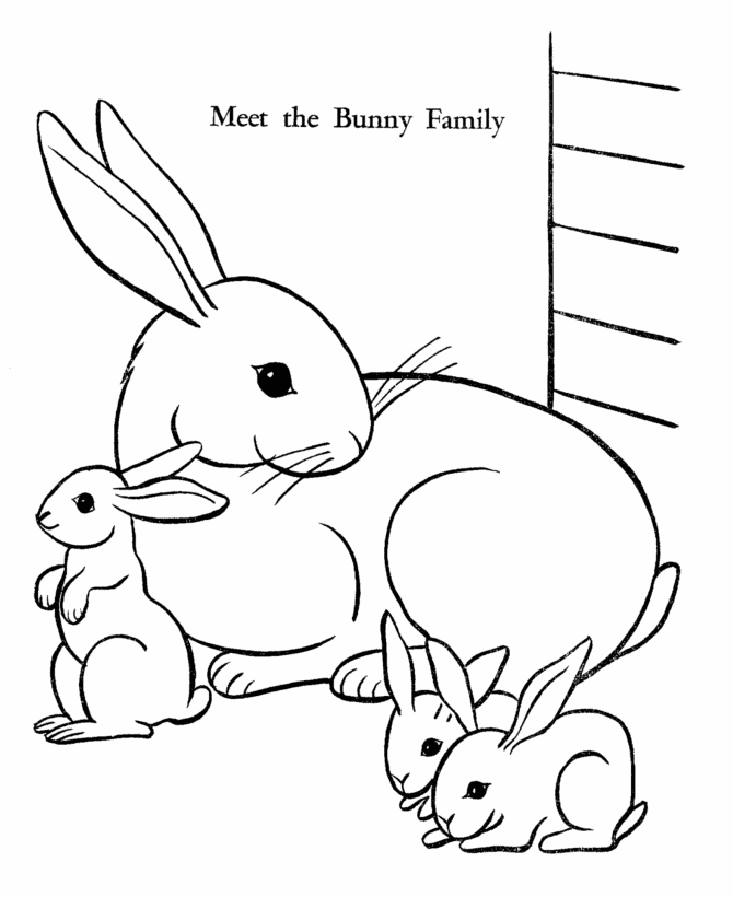 rabbit coloring sheet real bunny coloring pages download and print for free coloring rabbit sheet 