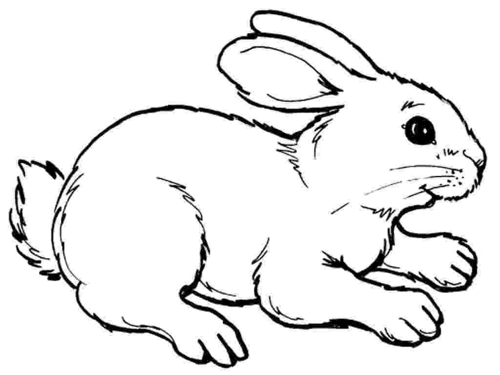 rabbit printable bunny coloring pages best coloring pages for kids printable rabbit 1 2