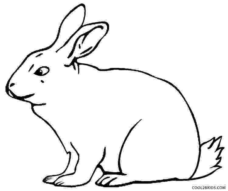 rabbit printable printable rabbit coloring pages for kids cool2bkids printable rabbit 1 1
