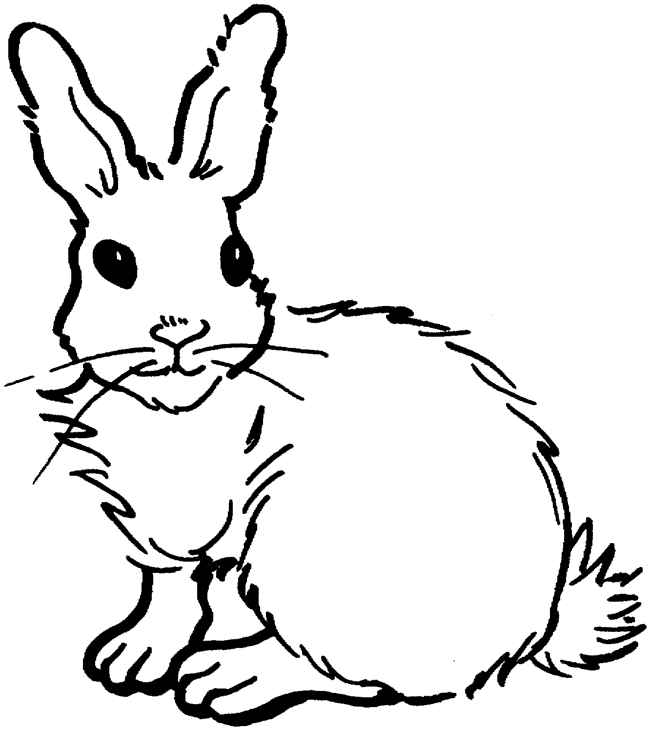 rabbit printable realistic rabbit coloring pages printable bunny coloring rabbit printable 