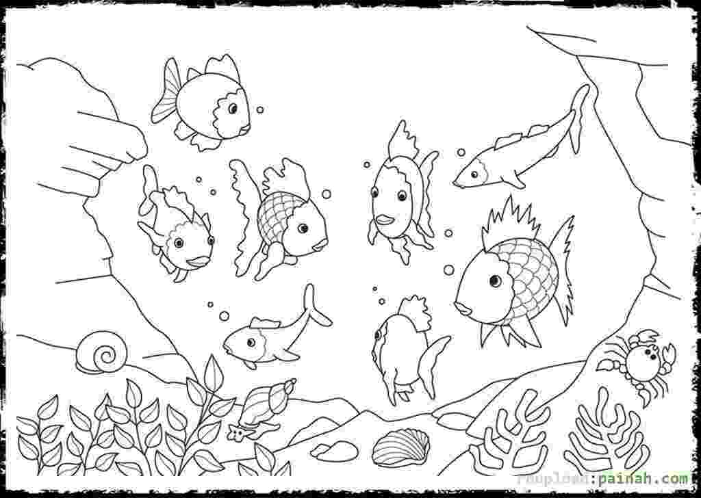 rainbow fish coloring sheet rainbow fish coloring pages easy drawing free printable sheet rainbow fish coloring 