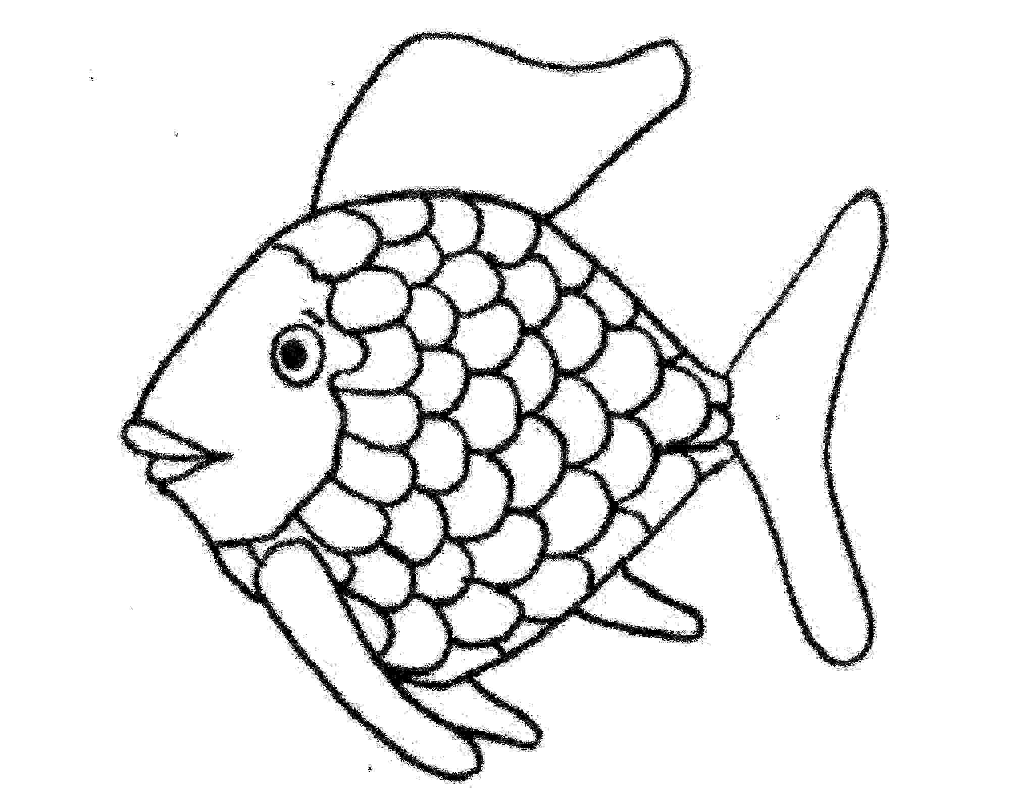rainbow fish colouring sheets rainbow fish clipart 20 free cliparts download images on colouring rainbow sheets fish 