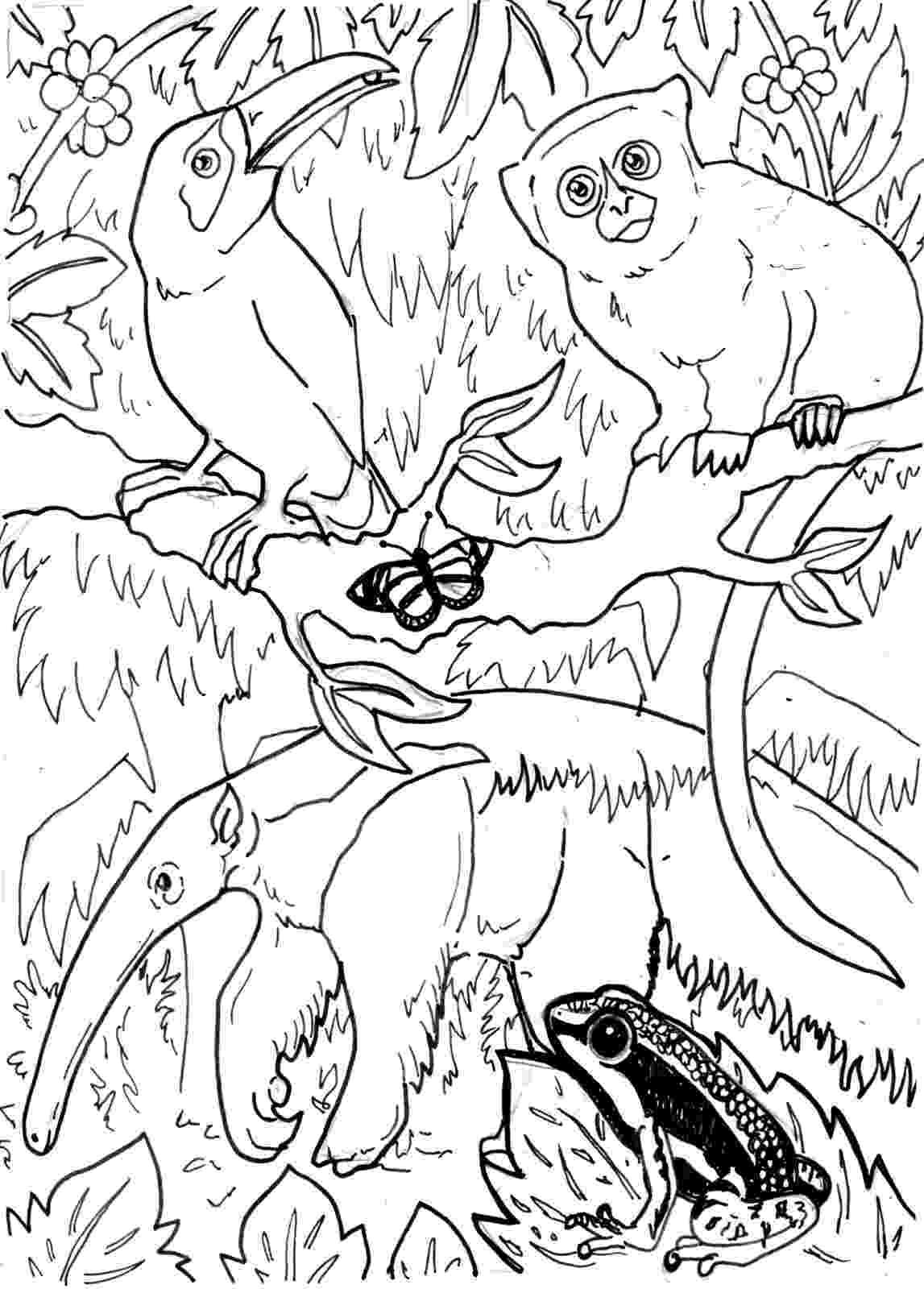 rainforest animal coloring pages habitats of the world activity pages animal rainforest coloring 