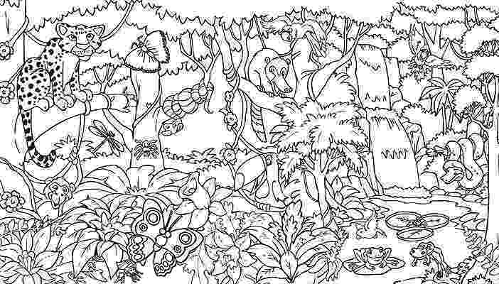 rainforest animal coloring pages rainforest animal coloring pages getcoloringpagescom rainforest animal pages coloring 