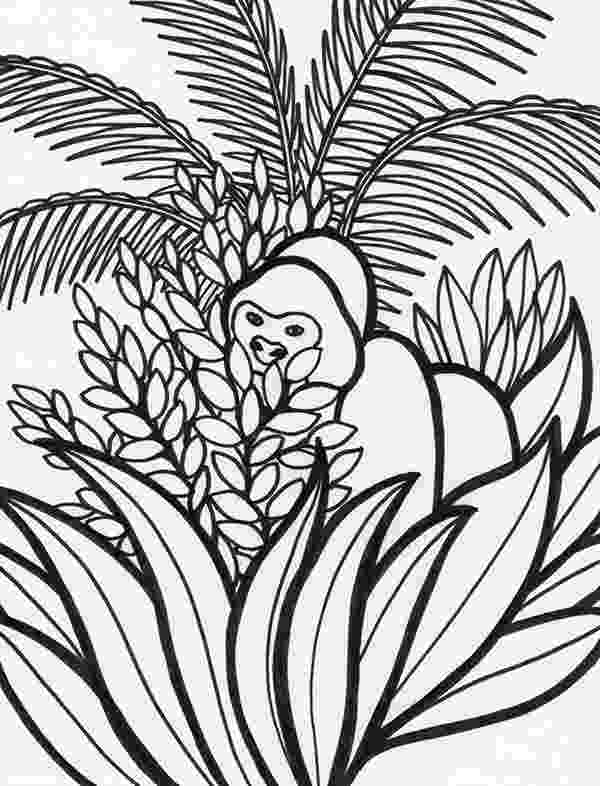 rainforest animal coloring pages rainforest coloring pages to download and print for free pages animal coloring rainforest 