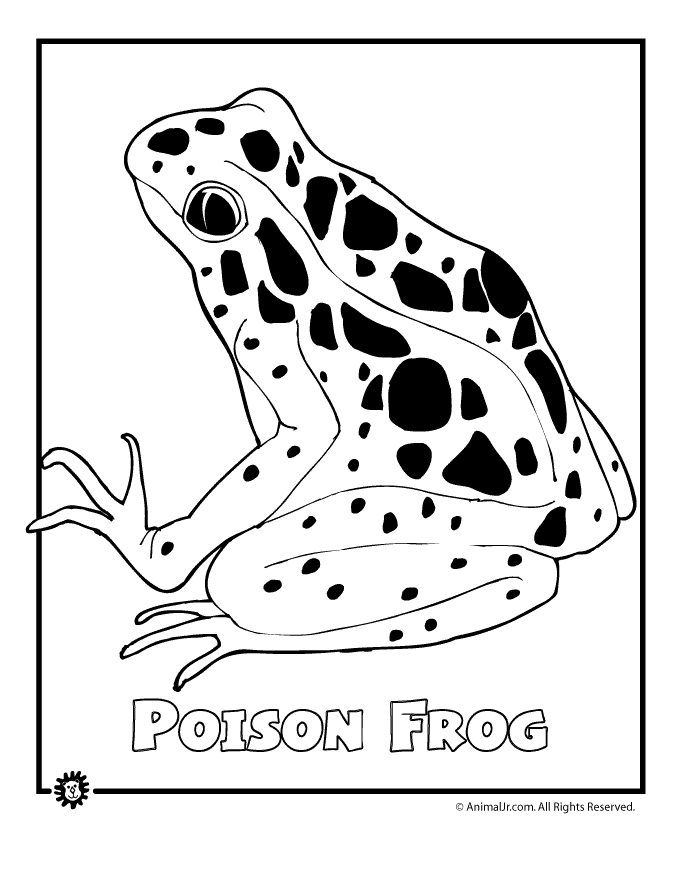rainforest animal coloring pages tropical rainforest animals coloring pages at getcolorings rainforest coloring animal pages 