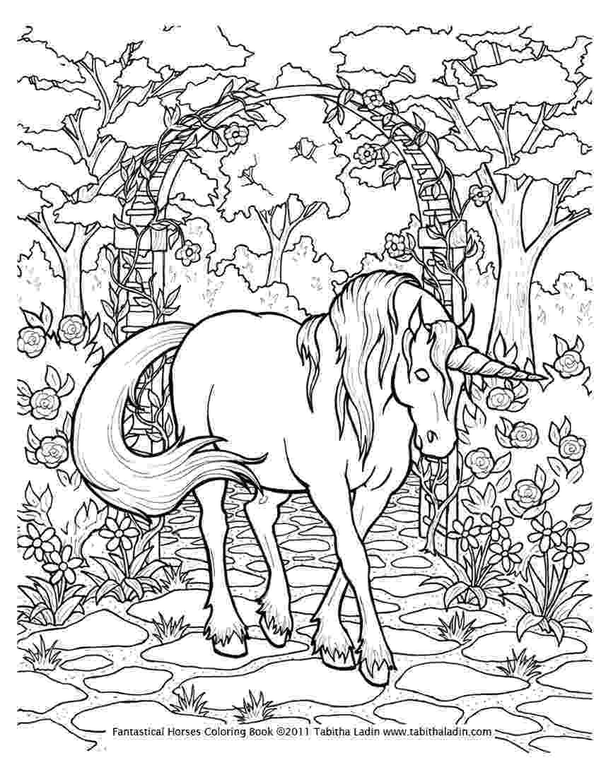 realistic animal coloring pages for adults little hedgehog and other little animals drawing free for realistic pages coloring animal adults 