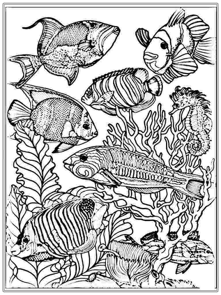 realistic animal coloring pages for adults realistic coloring pages for adults at getcoloringscom for coloring adults realistic pages animal 