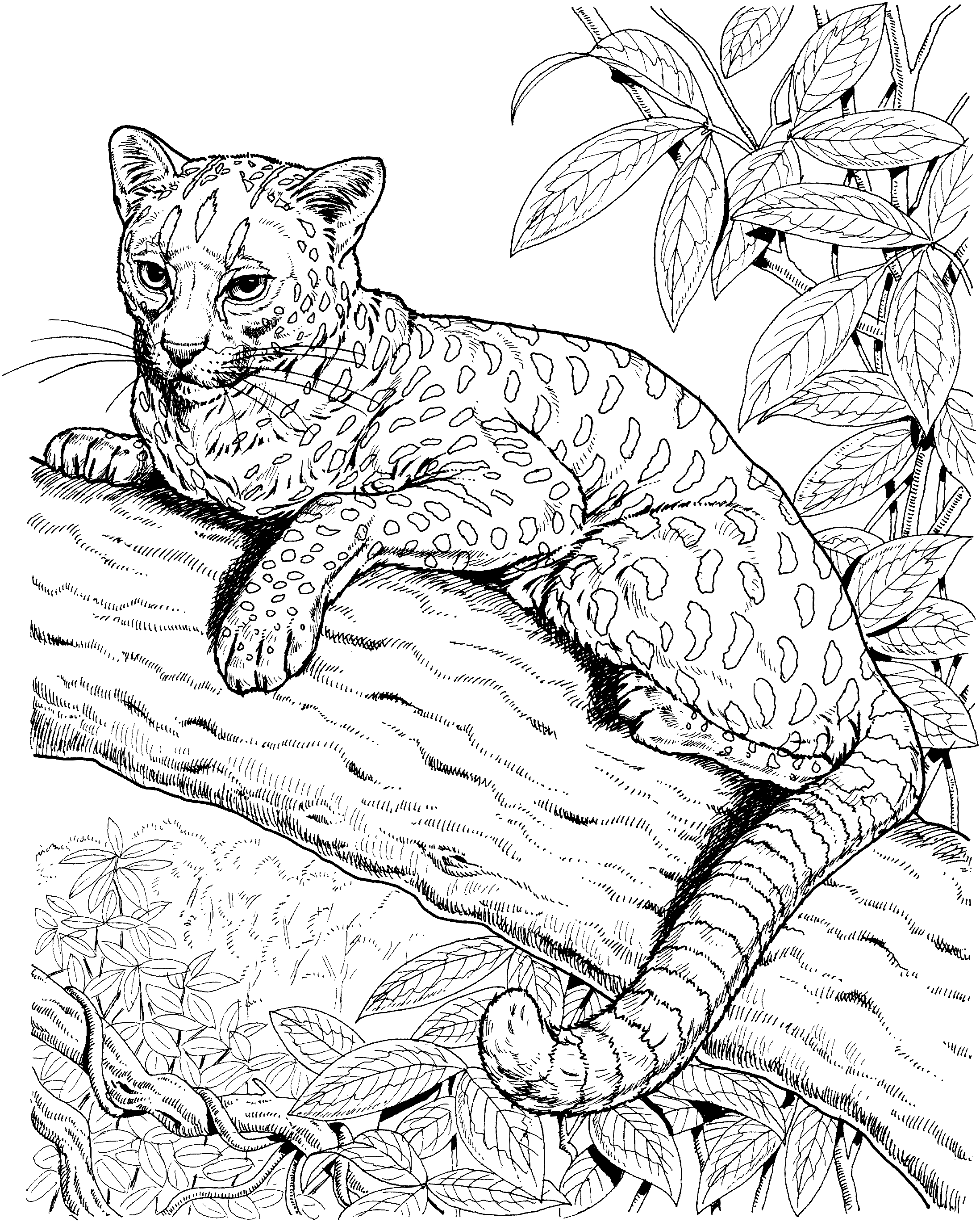 realistic animal coloring pages for adults realistic unicorn coloring pages download and print for free coloring realistic adults animal for pages 