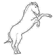 rearing horse coloring pages 17 best images about horse coloring pages on pinterest coloring rearing pages horse 