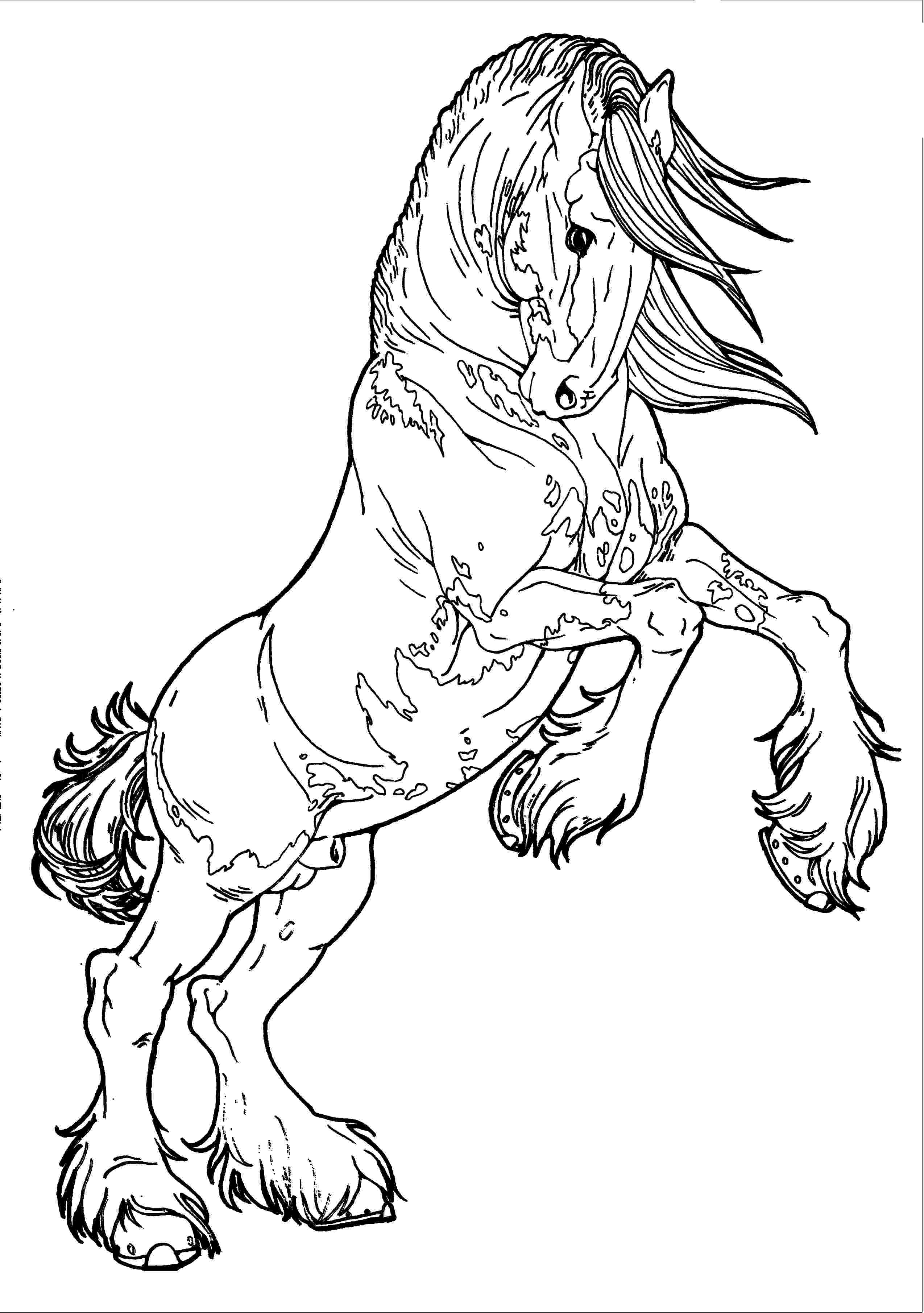 rearing horse coloring pages coloring pages of horses rearing at getcoloringscom rearing coloring pages horse 