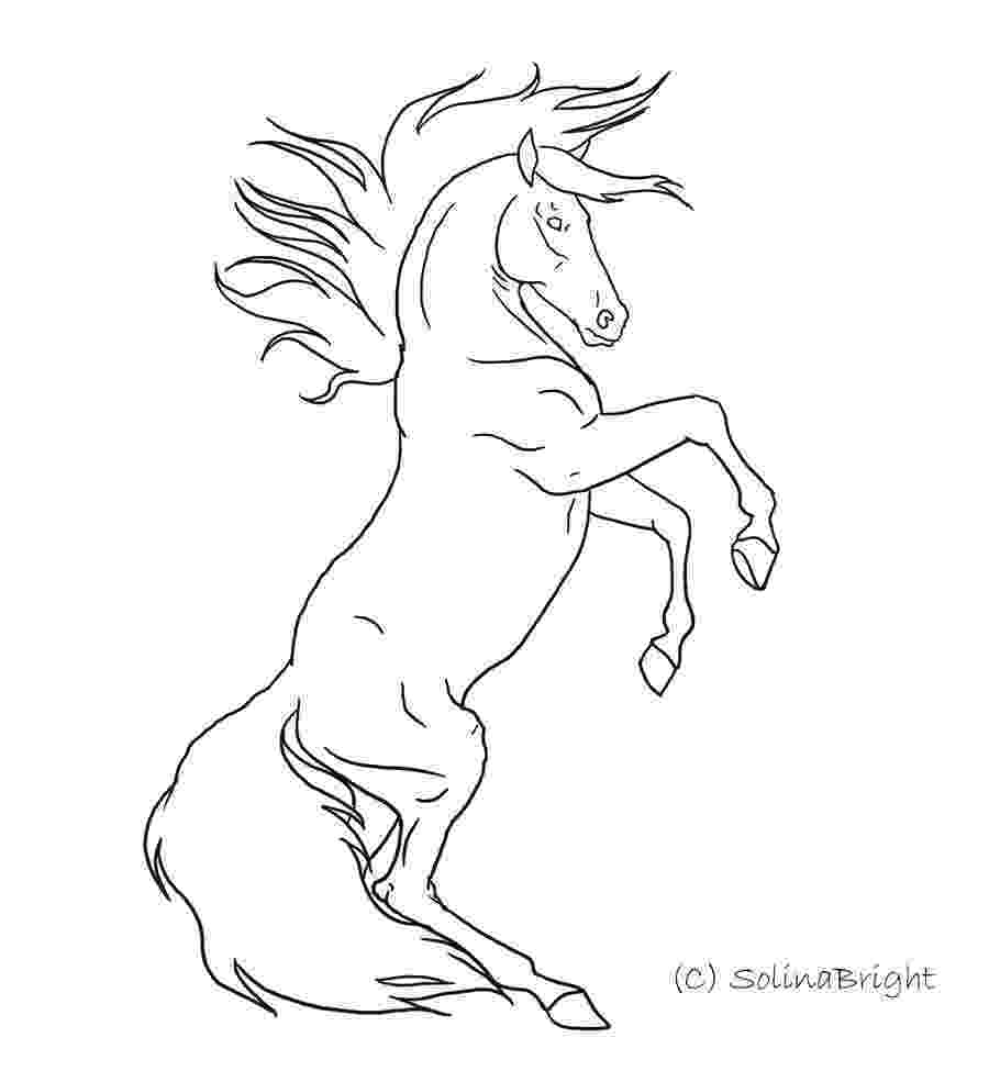 rearing horse coloring pages top 48 free printable horse coloring pages online coloring pages horse rearing 