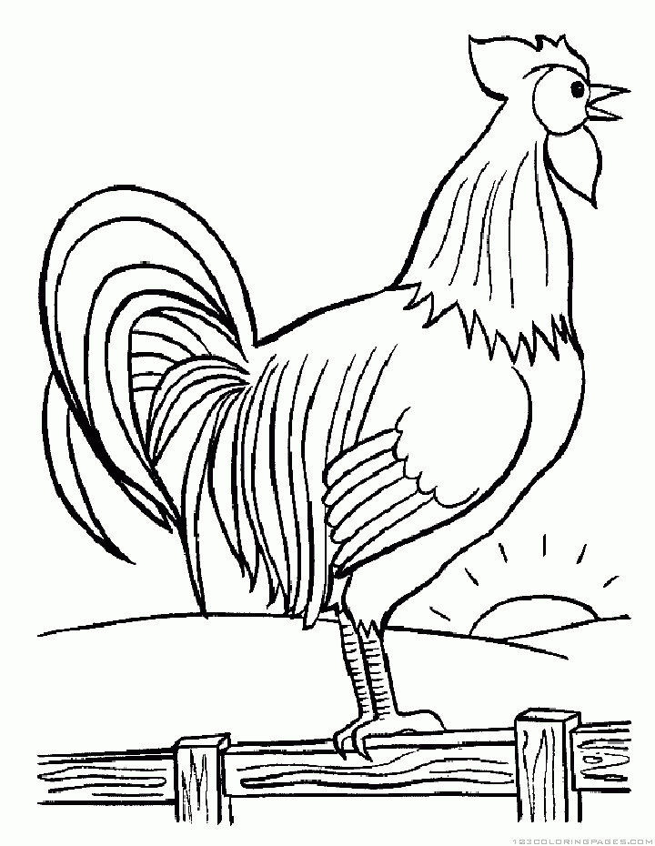 rooster coloring pages free printable brown leghorn rooster coloring page free printable rooster free pages printable coloring 