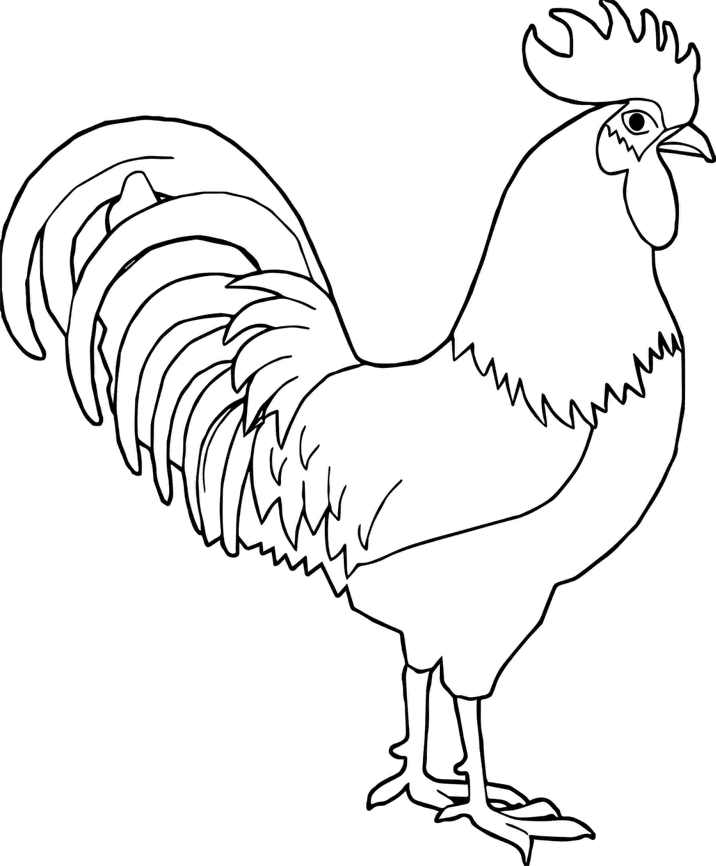rooster coloring pages free printable funky chicken coloring page heritage acres market llc rooster free coloring pages printable 