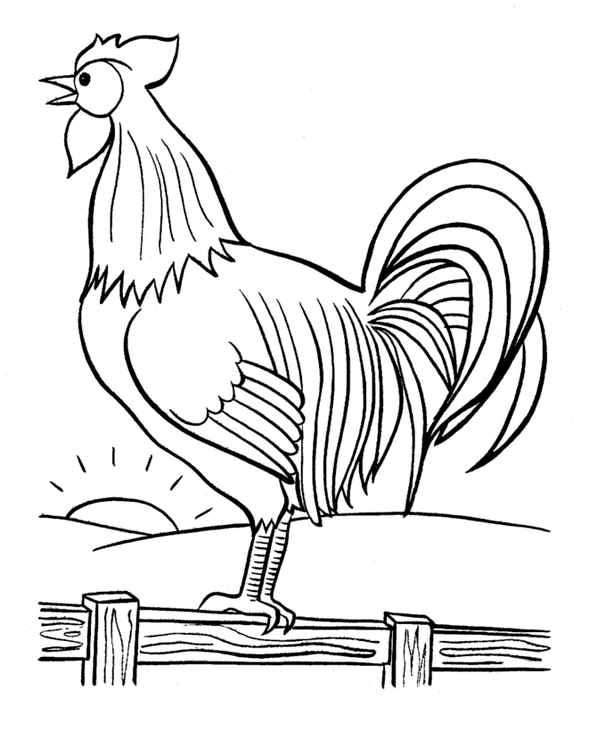 rooster coloring pages free printable funny rooster coloring pages for kids coloring pages rooster free printable 