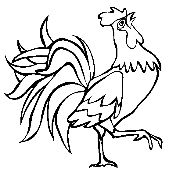 rooster coloring pages free printable funny rooster coloring pages for kids free pages coloring printable rooster 