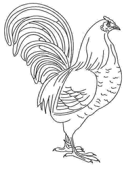 rooster coloring pages free printable proud rooster coloring page free printable coloring pages coloring rooster free pages printable 