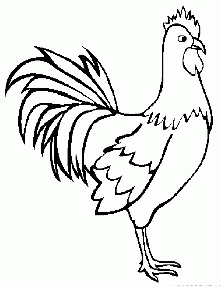 rooster coloring pages free printable rooster coloring page free printable coloring pages rooster free coloring pages printable 