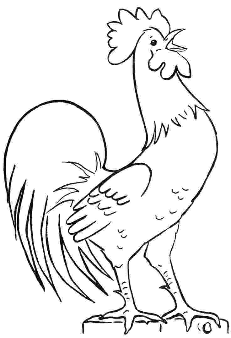 rooster coloring pages free printable rooster coloring page free rooster online coloring printable rooster free coloring pages 