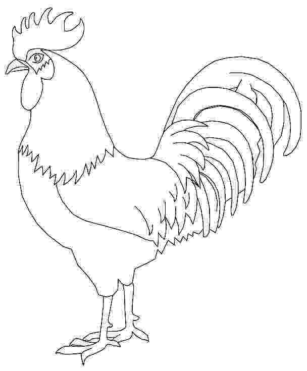 rooster coloring pages free printable rooster coloring pages getcoloringpagescom free coloring printable pages rooster 