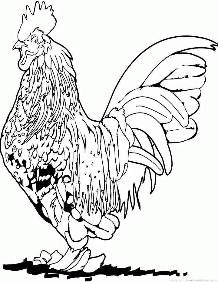rooster coloring pages free printable rooster coloring pages getcoloringpagescom rooster printable free coloring pages 