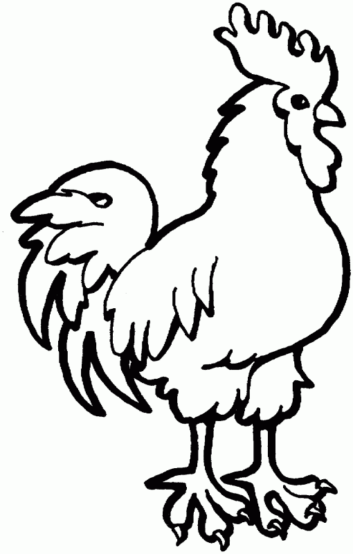 rooster coloring pages free printable rooster free printable coloring pages coloring free printable rooster pages 