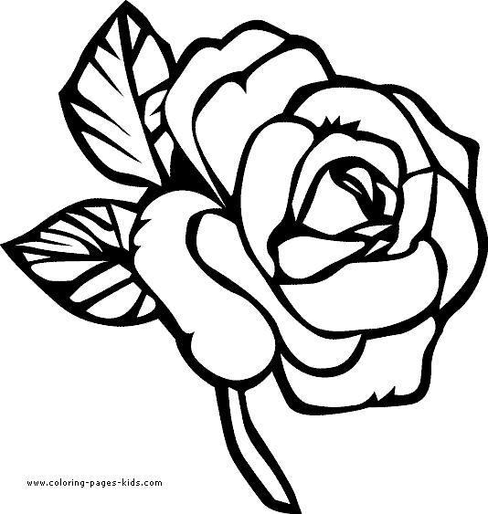 rose flower coloring page free printable flower coloring pages for kids best coloring flower page rose 