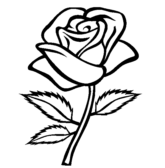 rose flower coloring page free printable roses coloring pages for kids rose coloring flower rose page 