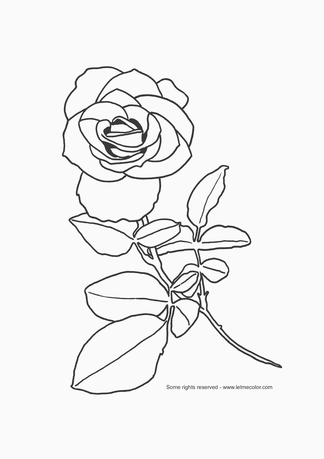 rose flower coloring page the gallifrey crafting company page 6 flower rose page coloring 