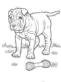 rottweiler coloring book rottweiler coloring page of rottweiler book coloring 