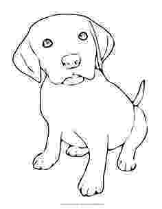 rottweiler coloring book rottweiler drawing at getdrawings free download book coloring rottweiler 