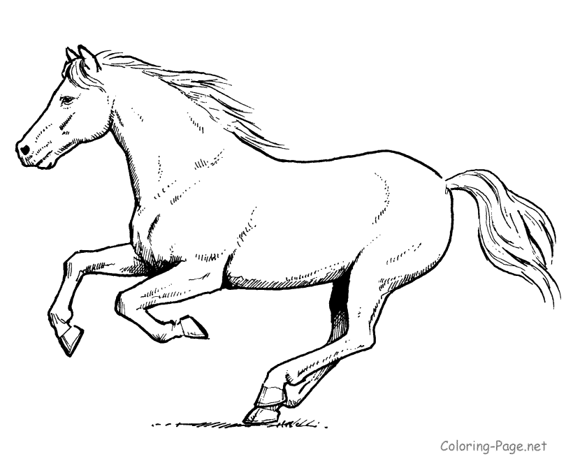running horse coloring pages horse is running in horses coloring page download pages horse coloring running 
