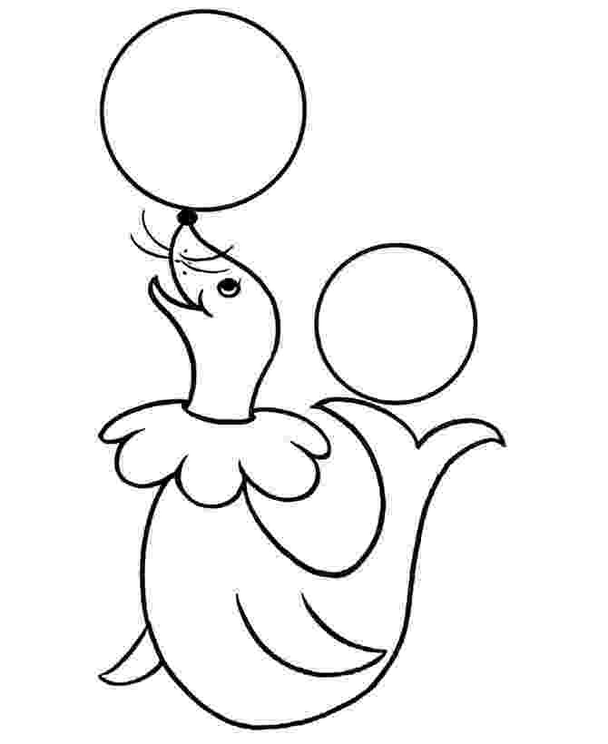 s is for seal pre k coloring pages circus seal appliqués pinterest is s seal for 