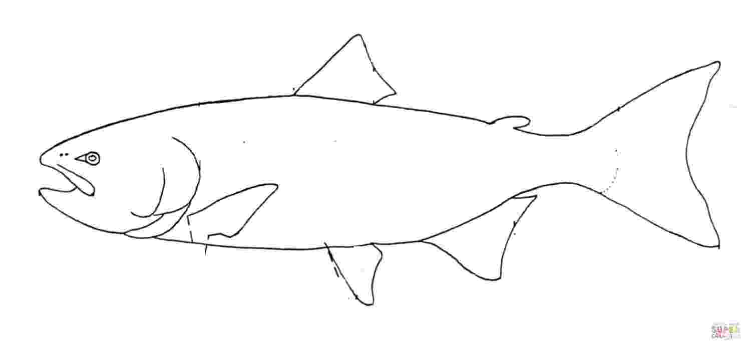 salmon coloring pages pacific salmon coloring pages download and print for free coloring pages salmon 1 1