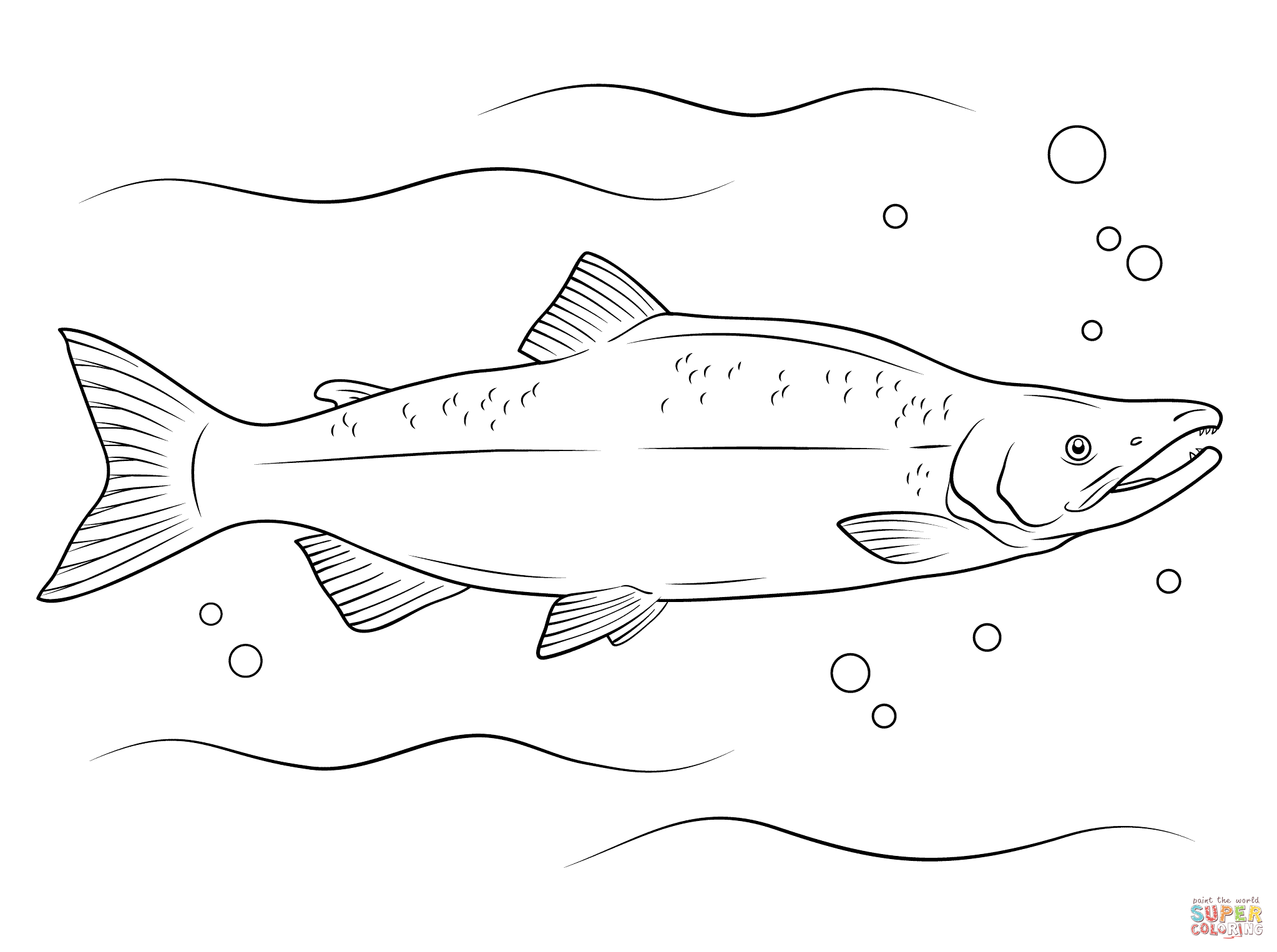 salmon coloring pages pacific salmon coloring pages download and print for free salmon coloring pages 