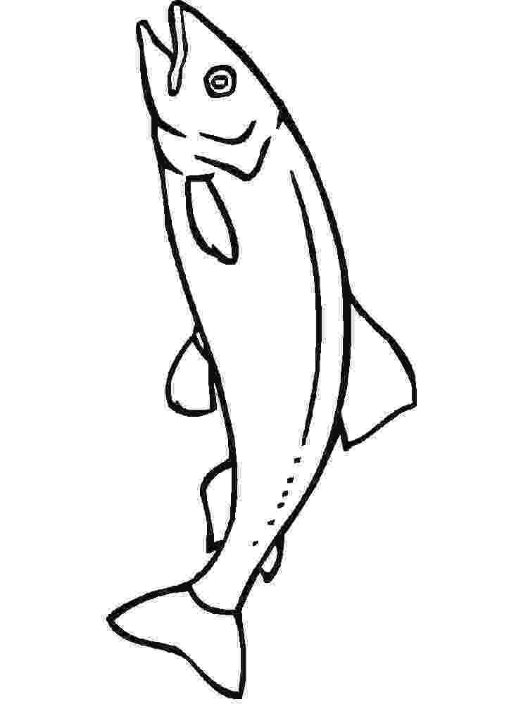 salmon coloring pages salmon coloring page audio stories for kids free coloring salmon pages 