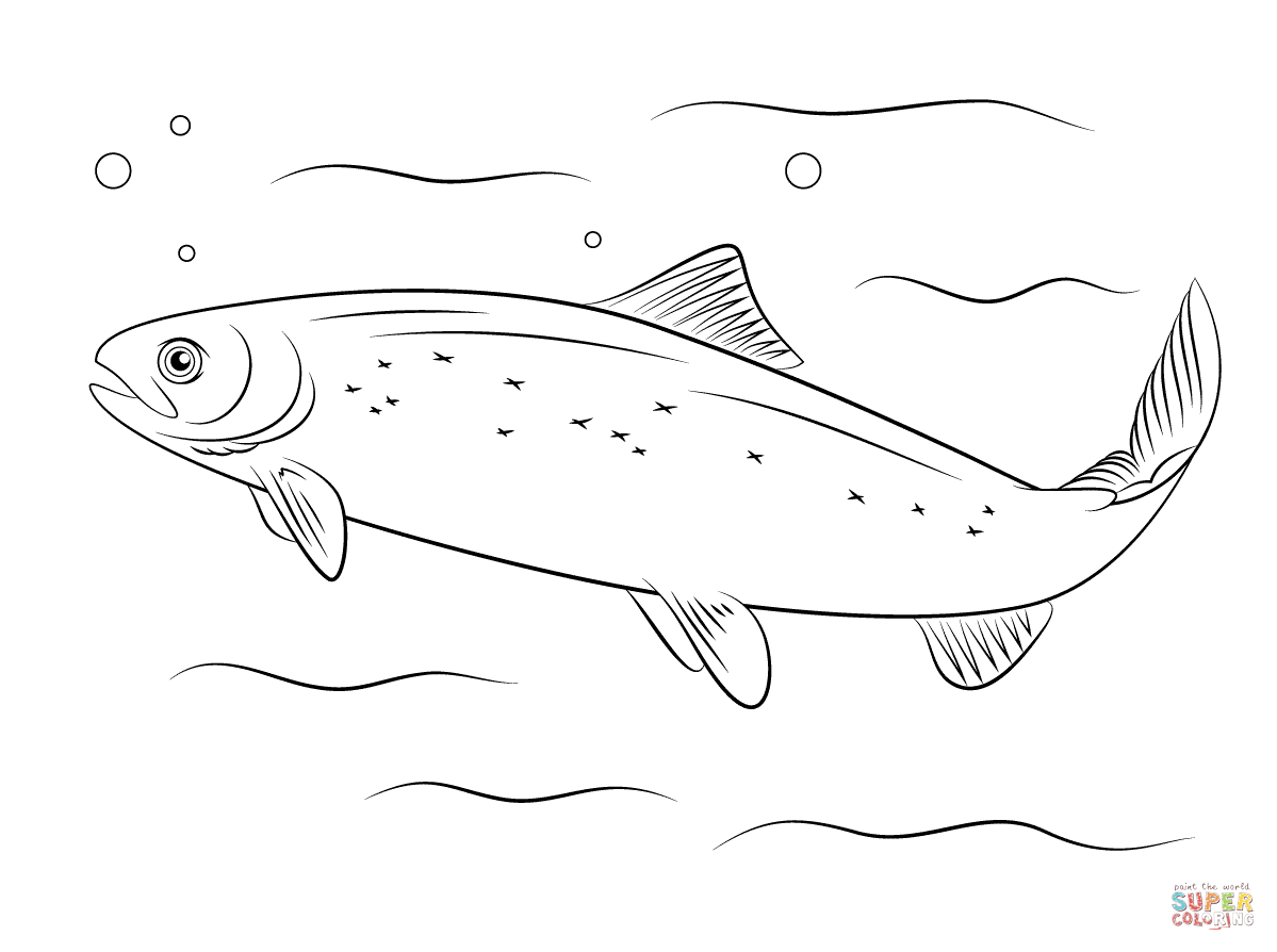 salmon coloring pages sockeye salmon coloring download sockeye salmon coloring pages coloring salmon 